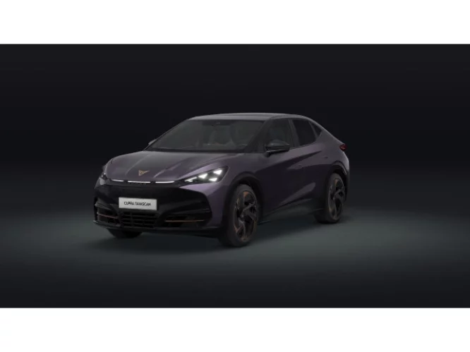 Details zum Fahrzeug: CUPRA Tavascan Endurance *PANO*MATRIX*AR-HuD*WärmeP*
